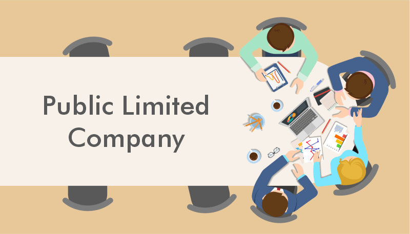 public-company