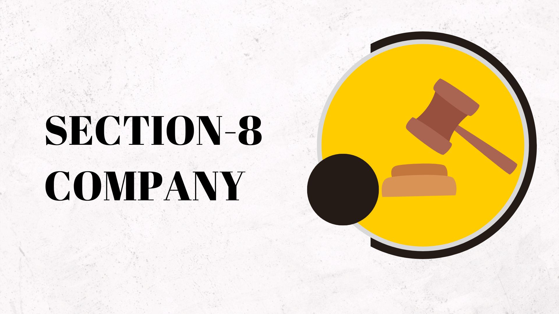 section-8-company